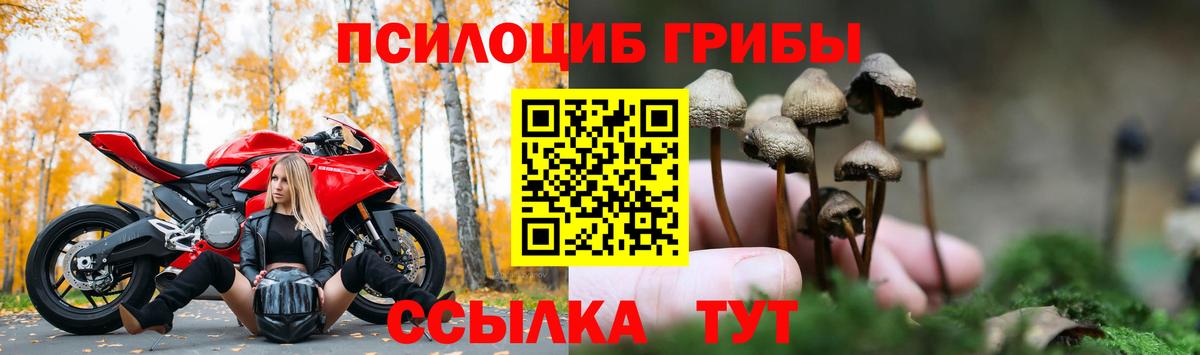Галлюциногенные грибы Magic Shrooms  Вход с VPN  Жуковский 