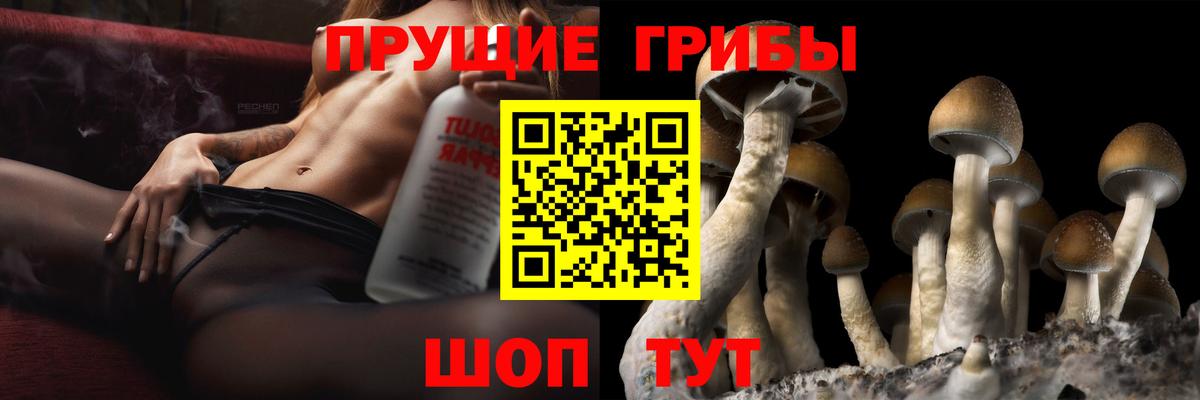 Псилоцибиновые грибы MAGIC MUSHROOMS Жуковский